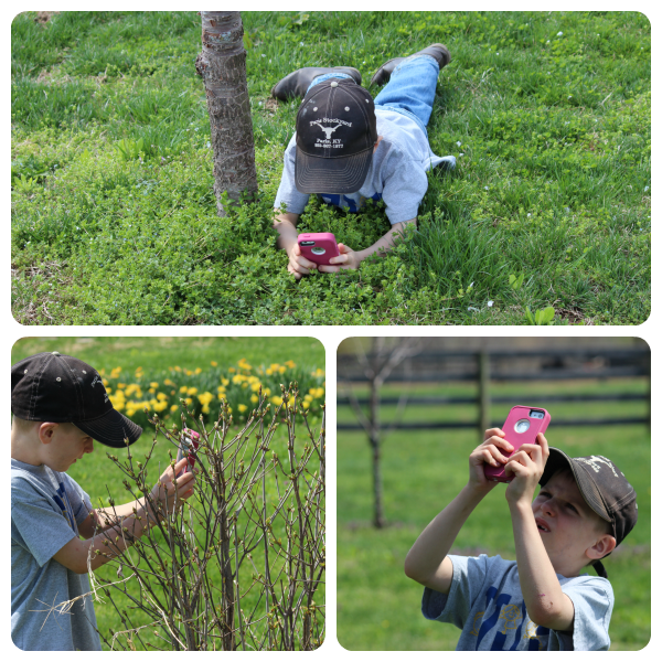 This nature study photography project is good for all ages