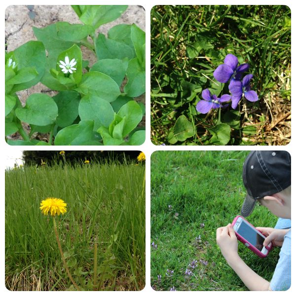 This nature walk photography project is good for all ages