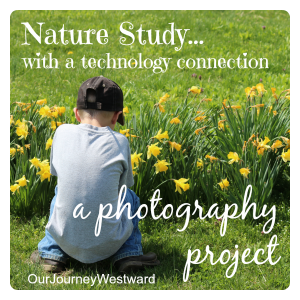 This nature study photography project is good for all ages