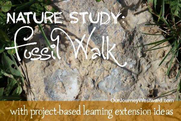 Nature Study: Fossil Walk and Follow Up Fun