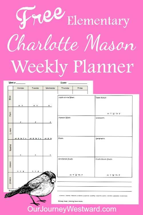 Image of pink background with blank weekly planning sheets.