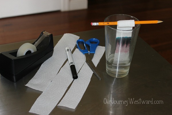 Chromatography: a fun activity to separate mixtures