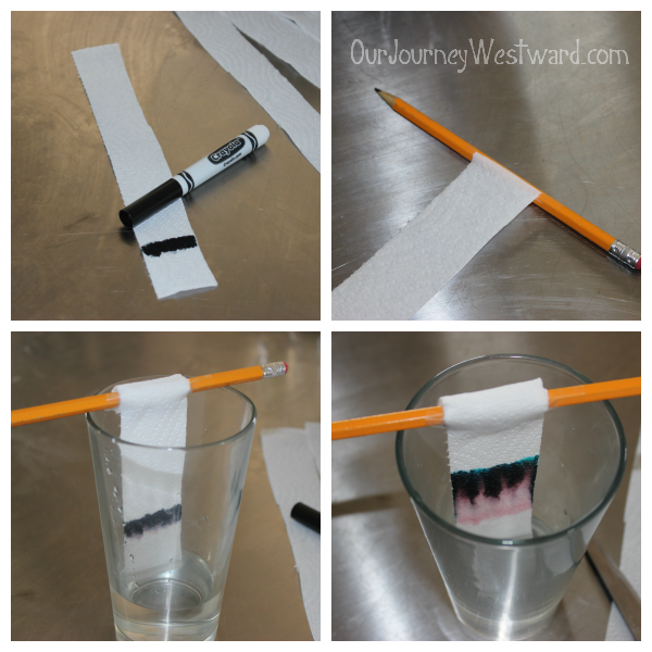 Chromatography: a fun activity to separate mixtures