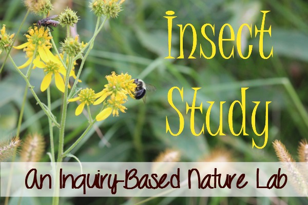 7 Things My Son Wants You To Know About Insect Study