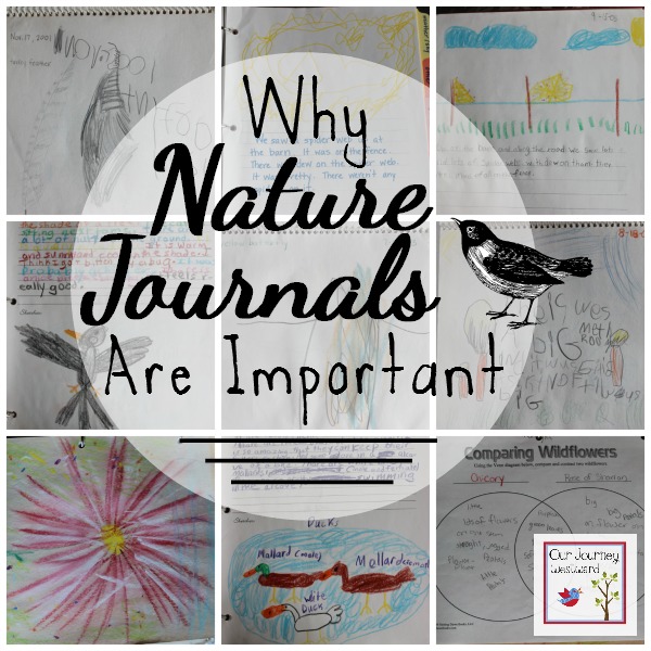 We have been utilizing nature journals in our homeschool from a very early age.  They have helped our children with writing, art, noticing nature detail and much more.  