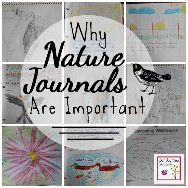 Why Nature Journals Are Important Our Journey Westward