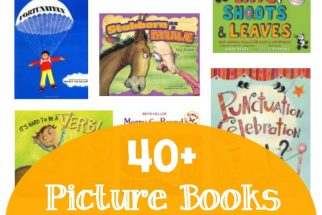 Images of picture books that are used to teach grammar