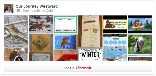 Coping with the Cold - Winter Pinterest Board