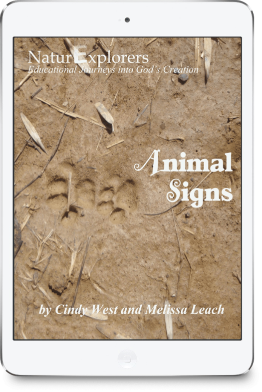 Brown dirt with animal footprints on the cover of a curriculum about animal signs.