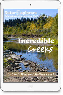 A creek with rocks and green and yellow trees on the cover of a nature study about incredible creeks.