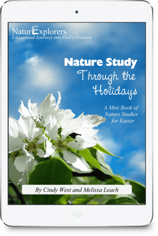 Blue sky with white flowers and leaves on the cover of a curriculum about an Easter nature study.