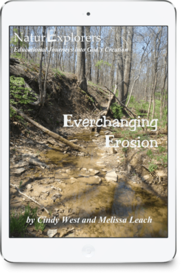 A creek bed that has been eroded on the cover of a curriculum about everchanging erosion.