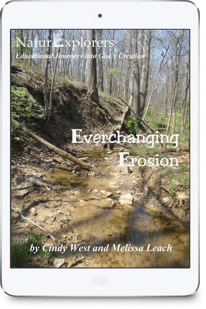 Everchanging Erosion