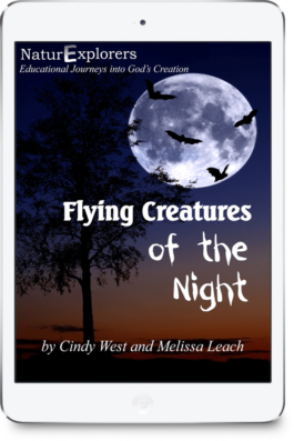 Cover of a curriculum about flying creatures of the night. There is a huge full moon with bats crossing in front of it.