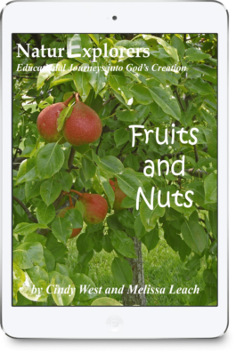 Red fruits on a leafy green tree on the cover of a curriculum about fruits and nuts.