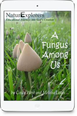 Tons of creative nature walks to study fungi! Hands-on activities and kid-friendly research-based projects, too!