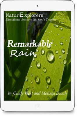 iPad image with rain droplets on a blade of grass. Its the cover of a curriculum about Remarkable Rain