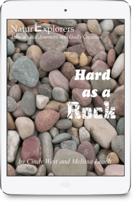 iPad image of a variety of small, smooth rocks of brown and grey tones. It's the cover for the "Hard as a Rock" curriculum.