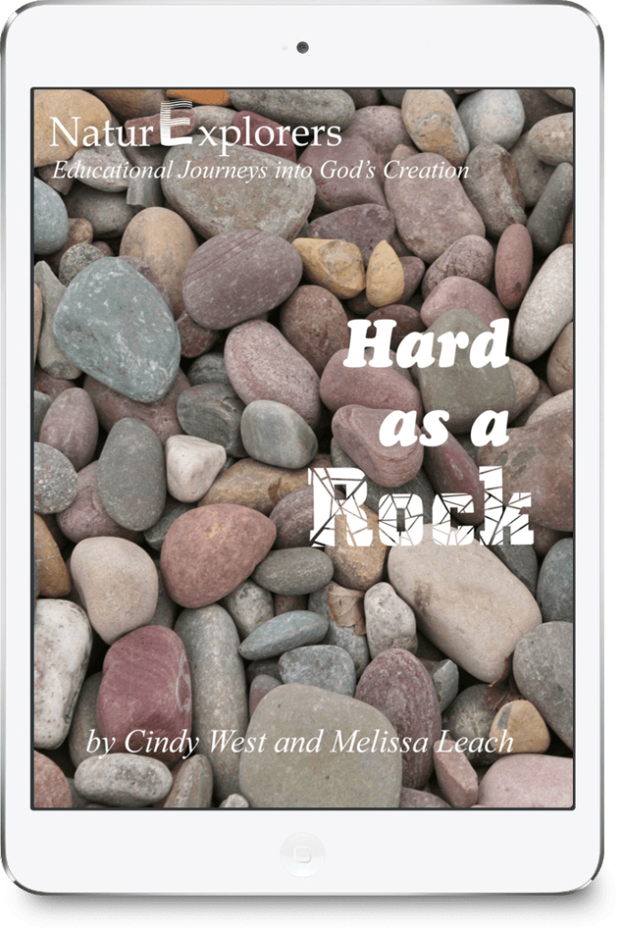 Hard as a Rock Nature Study Curriculum for 1st8th Graders