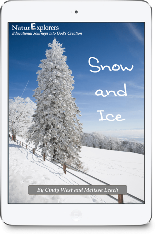 iPad image of an evergreen tree and slope covered in snow with bright blue sky in the background. It's the cover of a curriculum about snow and ice.