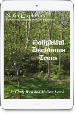 The cover of a nature study about deciduous trees with yard and forest in the backgroud.