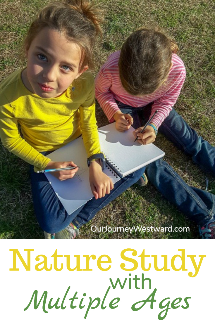 Girls sit on the ground drawing in a notebook. The image is used for a blog post about nature study with multiple ages