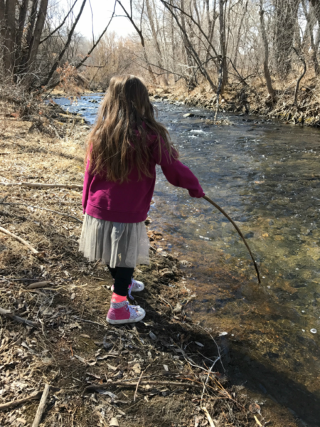 Hands-On Nature Study: Five Weeks at the Creek