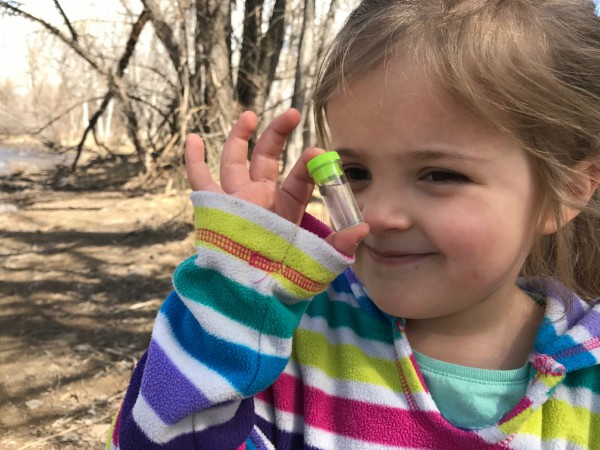 Hands-On Nature Study: Five Weeks at the Creek