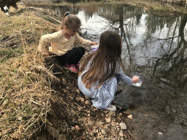 Hands-On Nature Study: Five Weeks at the Creek