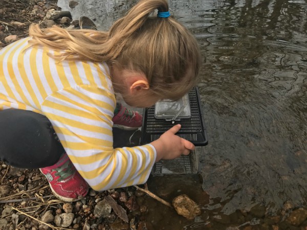 Hands-On Nature Study: Five Weeks at the Creek