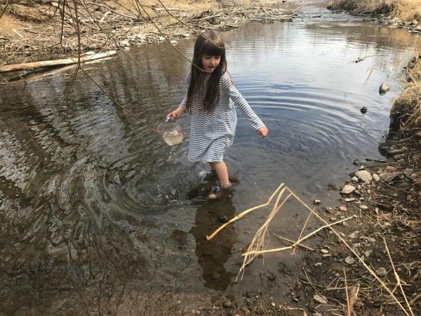 Hands-On Nature Study: Five Weeks at the Creek