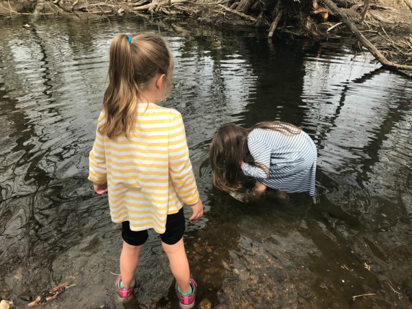 Hands-On Nature Study: Five Weeks at the Creek