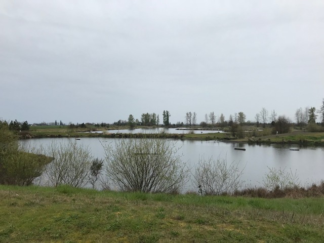 A day in the life of nature study at the pond