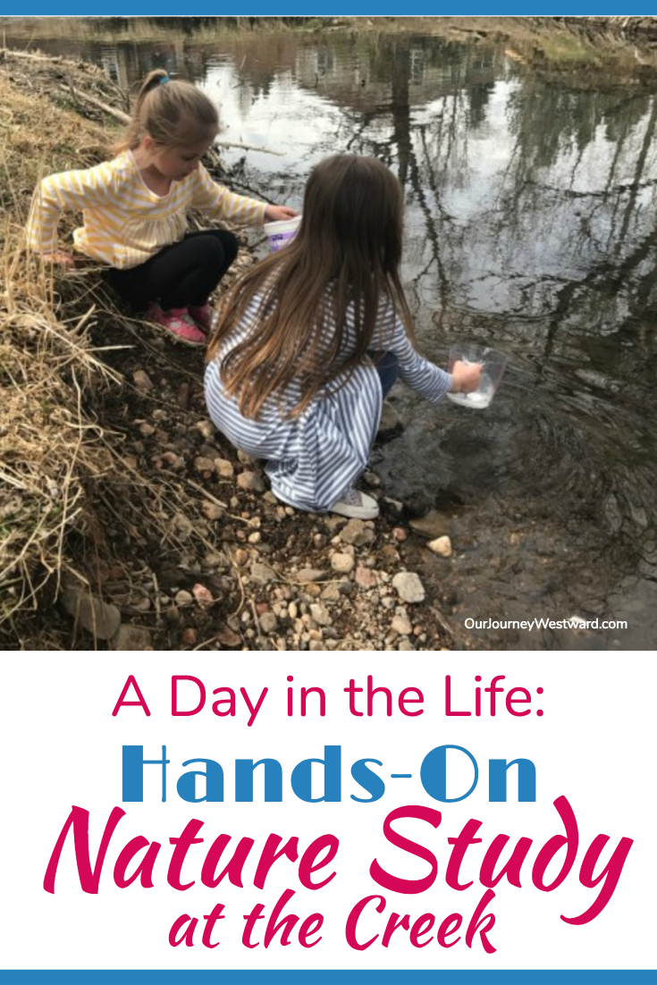 A Day in the Life: Hands-On Nature Study at the Creek