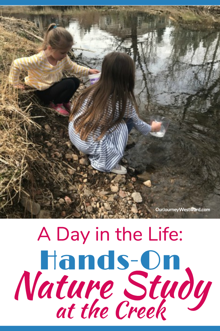 Girls dip water out of a creek. Image is usedfor a blog image about hands-on nature study at the creek.