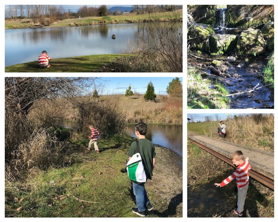 A day in the life of nature study at the pond