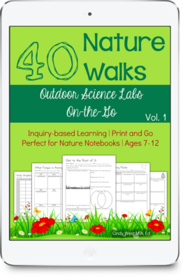 40 Nature Walks curriculum with different tones of green, flower drawings, and sample notebook pages on the front.