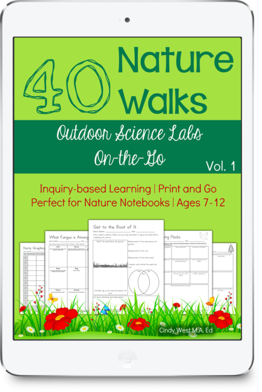 Nature Walks Notebooking Pages