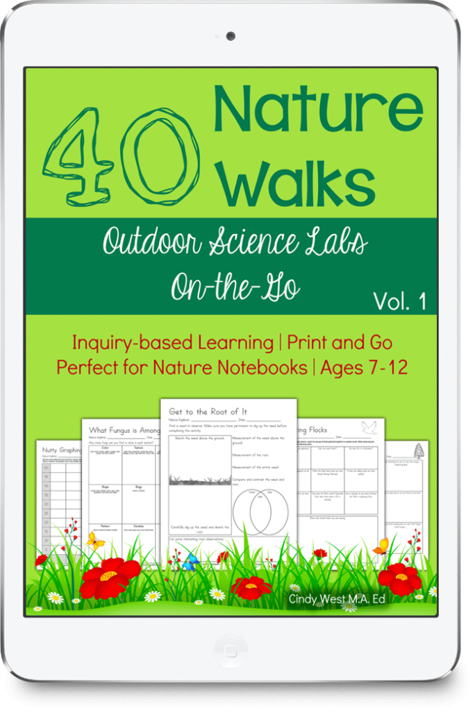 40 Nature Walks curriculum with different tones of green, flower drawings, and sample notebook pages on the front.