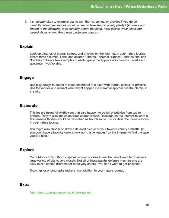 Denial defense mechanism image