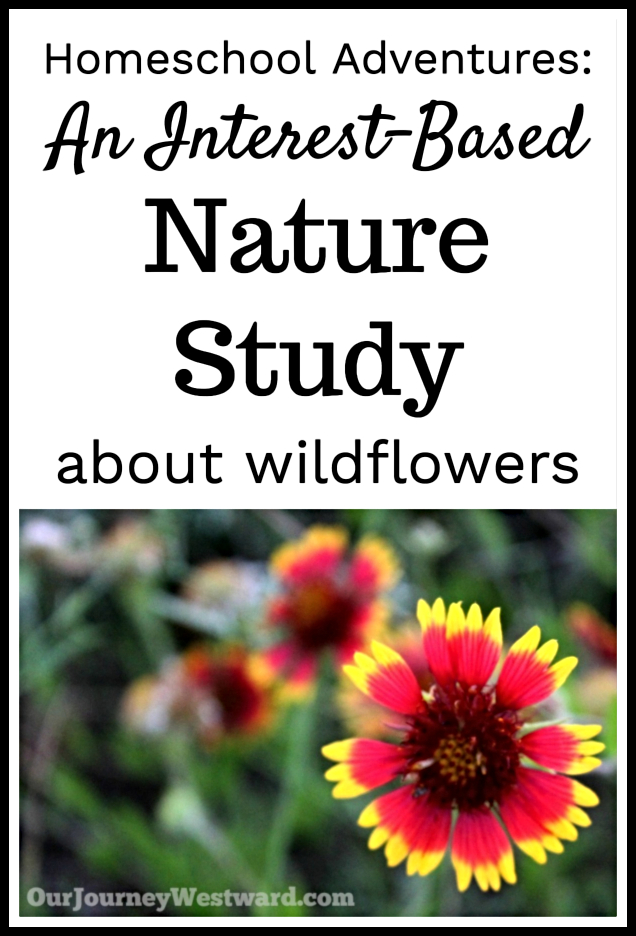 Blog image for a post about wildflowers nature study. The image has a photo of red and yellow flowers.