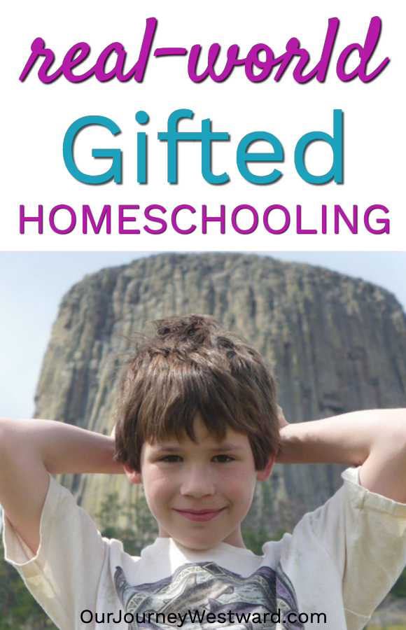 Image of boy standing in front of a natural monument for an image in a blog post about real-world gifted homeschooling.