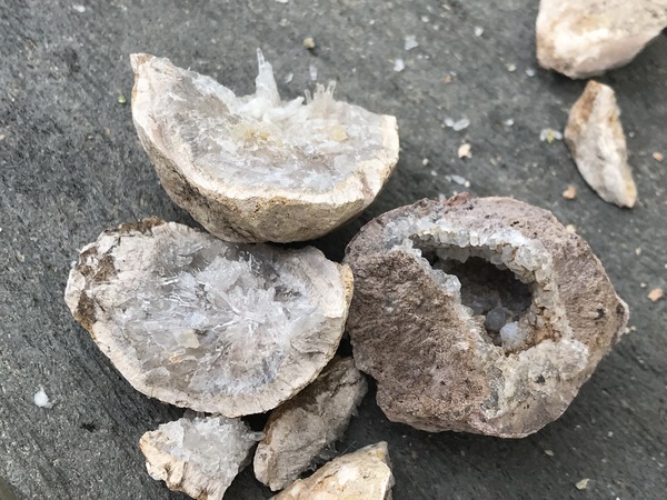 Geodes are a fun activity as you learn to identify rocks and minerals.