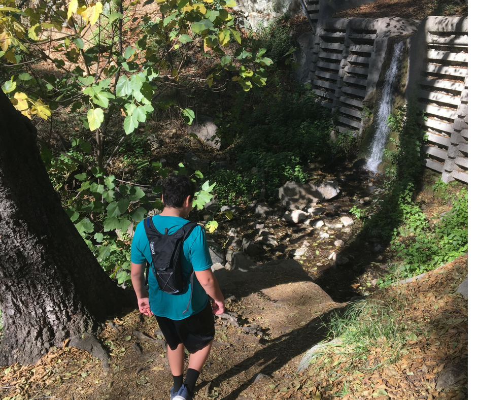 Special Needs and Nature Study. You might be amazed at the benefits of nature study with children who have special needs.