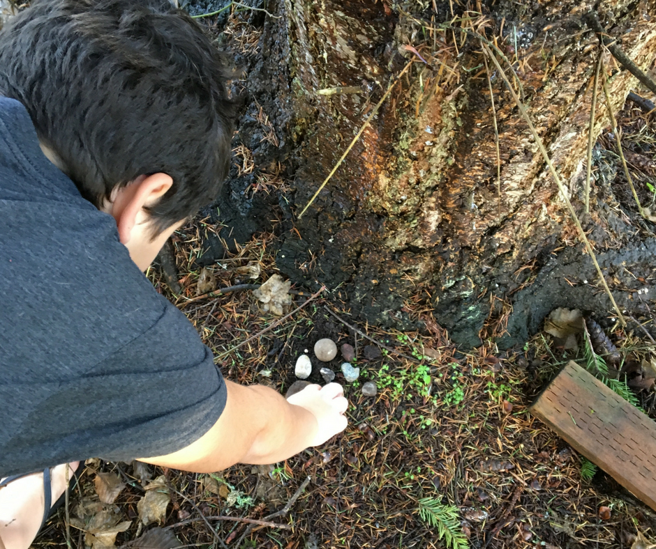 Special Needs and Nature Study. You might be amazed at the benefits of nature study with children who have special needs.