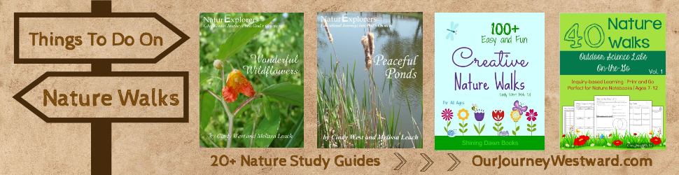 What do we do on a nature walk? These guides have wonderfully creative ideas!