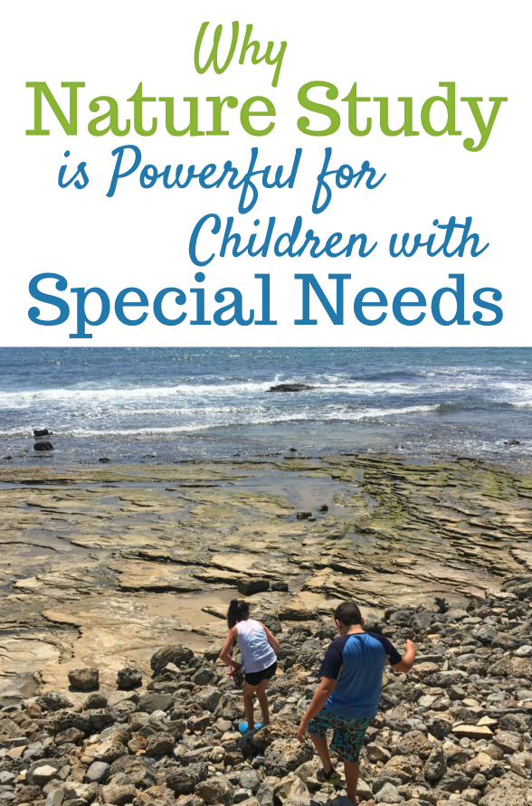 Image of kids walking down a rocky shore to the sea. Used for a blog post about how nature study is powerful for children with special needs.