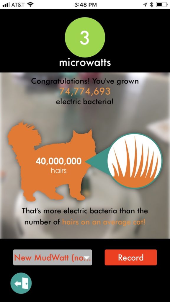 Before you start, you read a fun little explanation of Shewy and Geo, both microbes who release electrons and hold the literal power to create energy. I had no idea! And to think that this microbial fuel cell power is already being used in some real world scenarios is so cool.