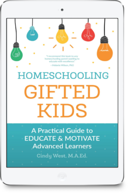 Book cover about homeschooling gifted kids with colorful illustrated light bulbs hanging from the top of it.