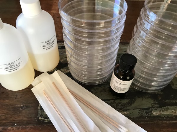 Bacteria science experiments are great for middle and high school students! #homeschool #science #homesciencetools
